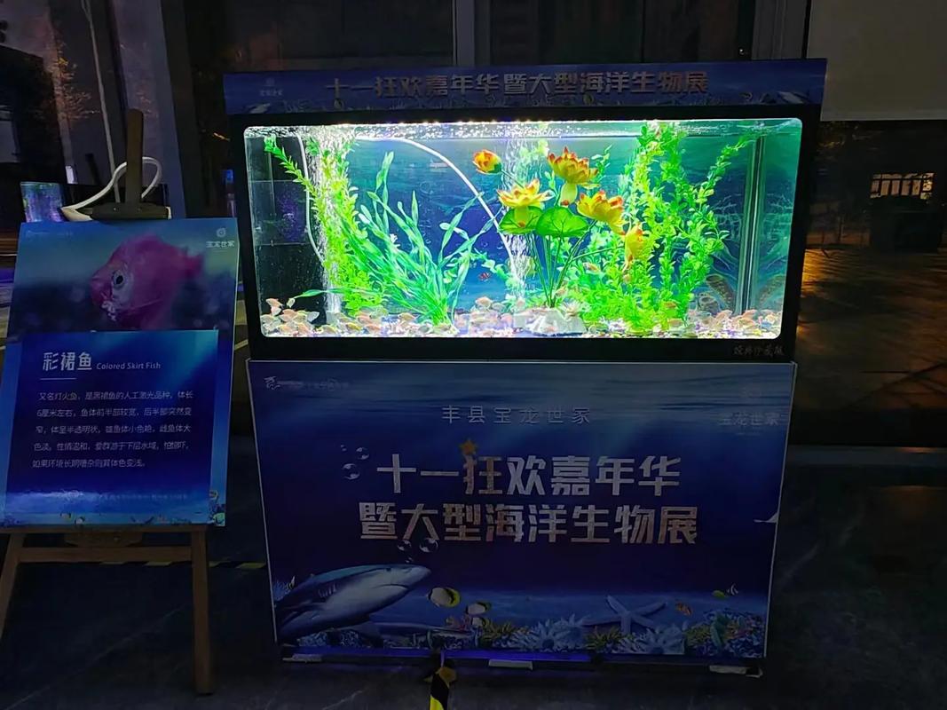 專(zhuān)業(yè)動(dòng)物出租服務(wù) 馬戲團(tuán)表演、海獅與羊駝租賃解決方案